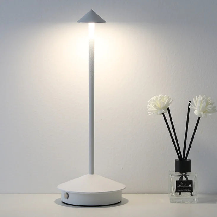 Modern LED Table Lamp